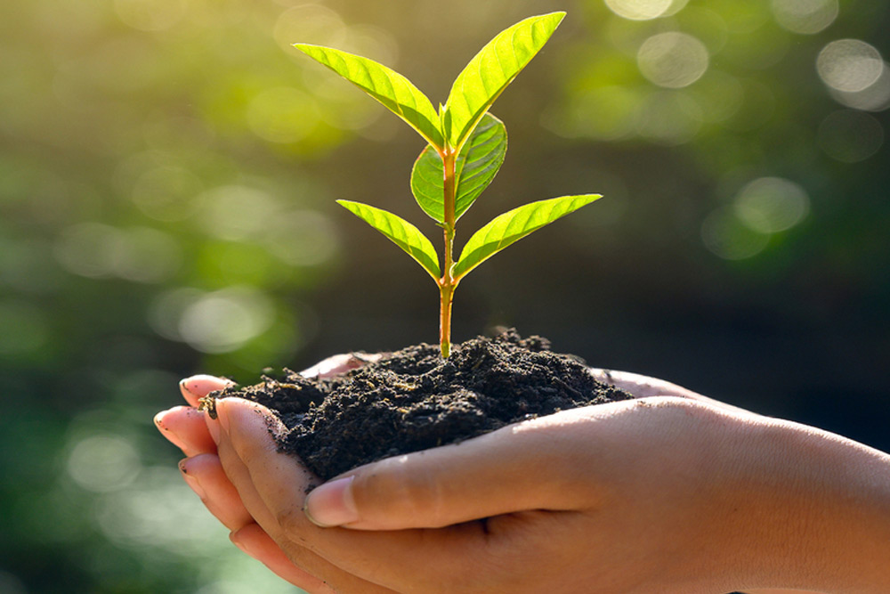 documents creation societe luxembourg