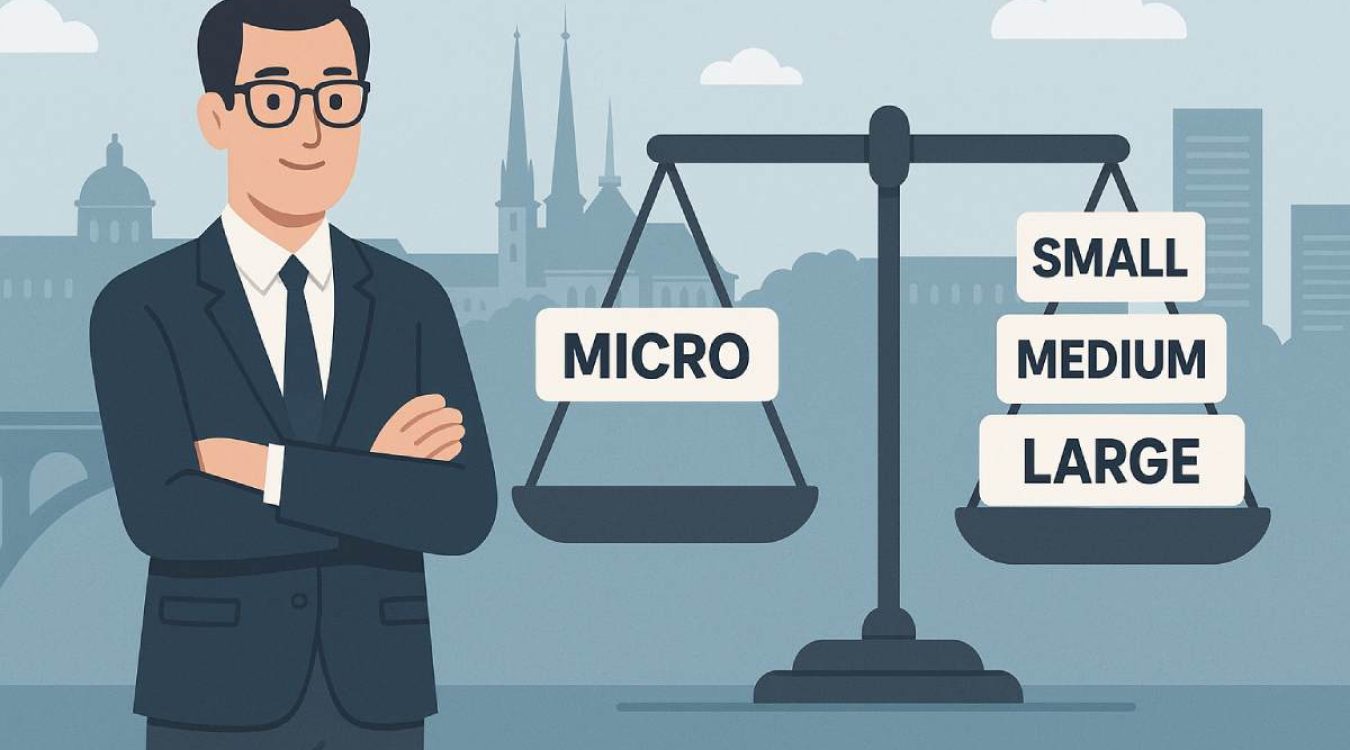 Illustration représentant les tailles d’entreprise (micro, petite, moyenne, grande) selon les critères au Luxembourg